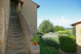 Podere Il Pino