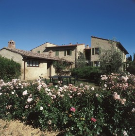 Podere Il Pino