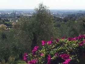 Il Campano