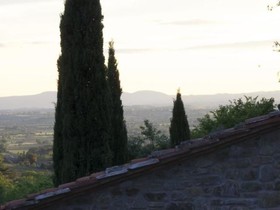 Antica Quercia Verde