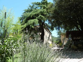 B&B Gabri