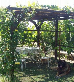 B&B Gabri