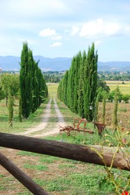 Fattoria Le Giare