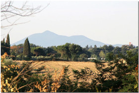 Il Villino Di Cortona