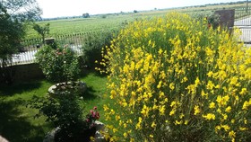 La Mucchia