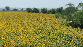La Mucchia