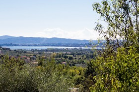 Poggio Oliveto