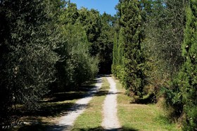 Poggio Oliveto