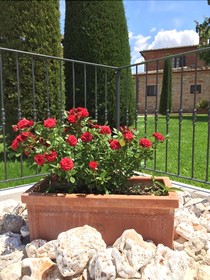 Villa Rosa Dei Venti