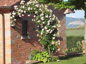 Villa Rosa Dei Venti