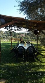 Agriturismo L'isola