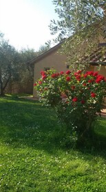 Agriturismo L'isola