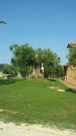 Agriturismo L'isola