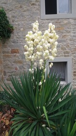 Country Residence Turicchi