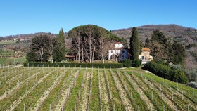 Frascole