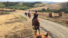 Agriturismo Biologico Diacceroni
