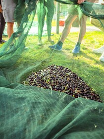 Agriturismo Biologico Diacceroni