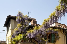 Le Cannelle B&B