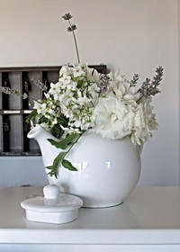 Residence Fiesole