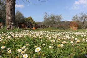 L'Ozio In Collina