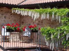Podere Conti