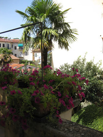A Casa Di Lilli