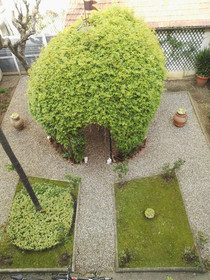 A Casa Di Lilli