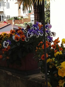 A Casa Di Lilli