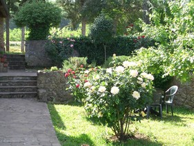 Agriturismo La Selva
