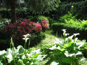 B&B il Ferruccio