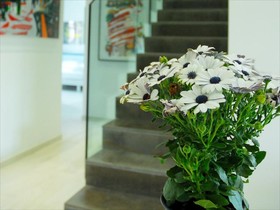 Bed and Breakfast Belfiore