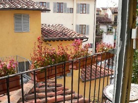 Bellettini