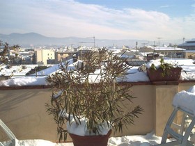 Hotel Bijou