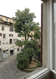 Dalì