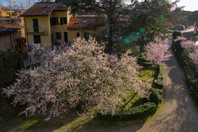 Dimora Salviati