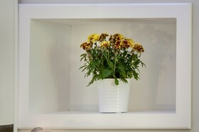Dolce Vita Suites