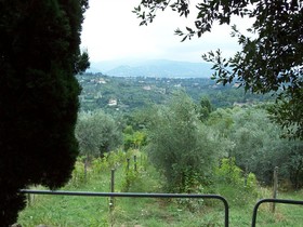 Fattoria Il Milione