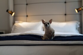 Hotel Cerretani Firenze - MGallery