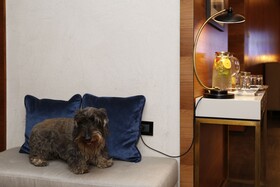 Hotel Cerretani Firenze - MGallery