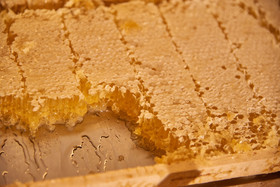 Hotel Cosimo de'Medici