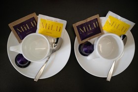 Hotel Milu