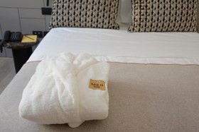 Hotel Milu