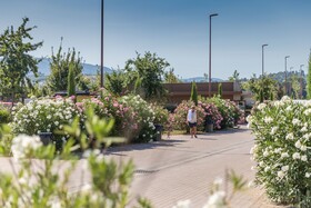 hu Firenze camping in town