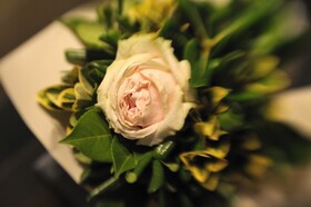 La Dimora degli Angeli