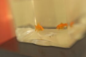 La Dimora degli Angeli