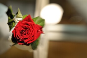 La Dimora degli Angeli