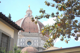 La Gabbia Del Grillo