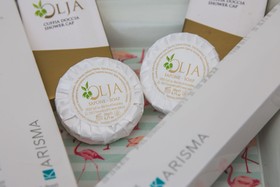 La Residenza di Michelangelo