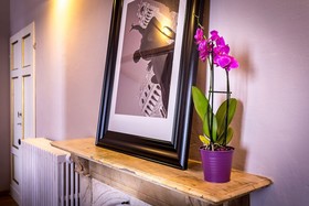 La Torre Del Cestello