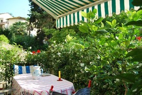 Le Ortensie